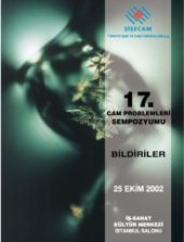 17. Cam Problemleri Sempozyumu